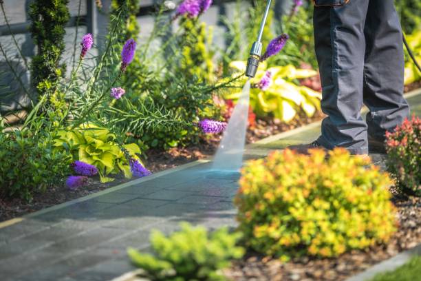 Best Soft Washing  in Philomath, OR