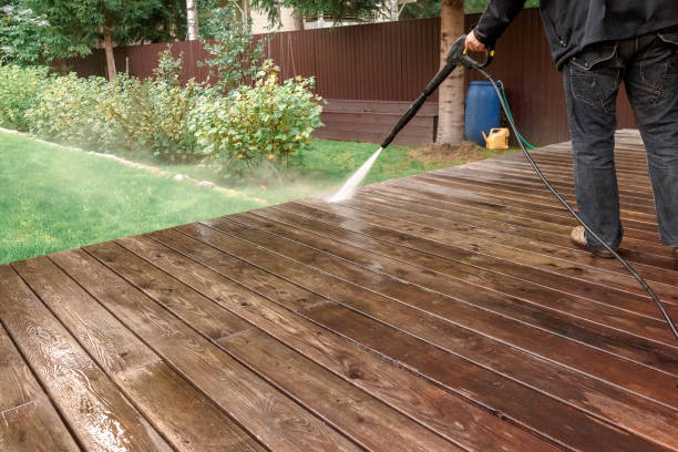 Best Pre-Holiday Cleaning  in Philomath, OR