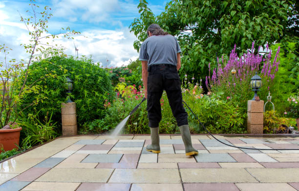 Best Driveway Pressure Washing  in Philomath, OR